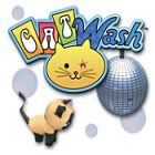 Permainan Cat Wash