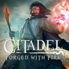 Permainan Citadel: Forged with Fire