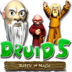 Permainan Druid's Battle of Magic
