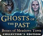 Permainan Ghosts of the Past: Bones of Meadows Town Collector's Edition