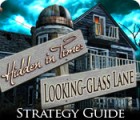 Permainan Hidden in Time: Looking-glass Lane Strategy Guide