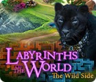 Permainan Labyrinths of the World: The Wild Side