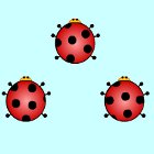 Permainan Ladybug Pair Up