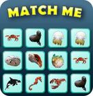 Permainan Match Me Permainan Match Me