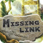 Permainan The Missing Link
