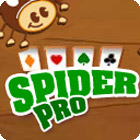 Permainan Spider Pro