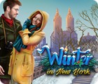 Permainan Winter in New York