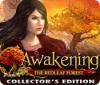Permainan Awakening: The Redleaf Forest Collector's Edition