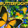 Permainan Butterflight