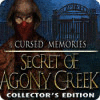 Permainan Cursed Memories: The Secret of Agony Creek Collector's Edition