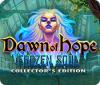 Permainan Dawn of Hope: The Frozen Soul Collector's Edition