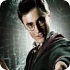 Permainan Harry Potter: Fight the Death Eaters