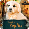 Permainan Precious Sophie