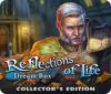 Permainan Reflections of Life: Dream Box Collector's Edition