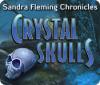 Permainan Sandra Fleming Chronicles: The Crystal Skulls