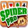 Permainan Spider Pro