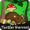 Permainan Turtles Harvest