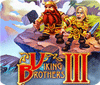 Permainan Viking Brothers 3 Collector's Edition